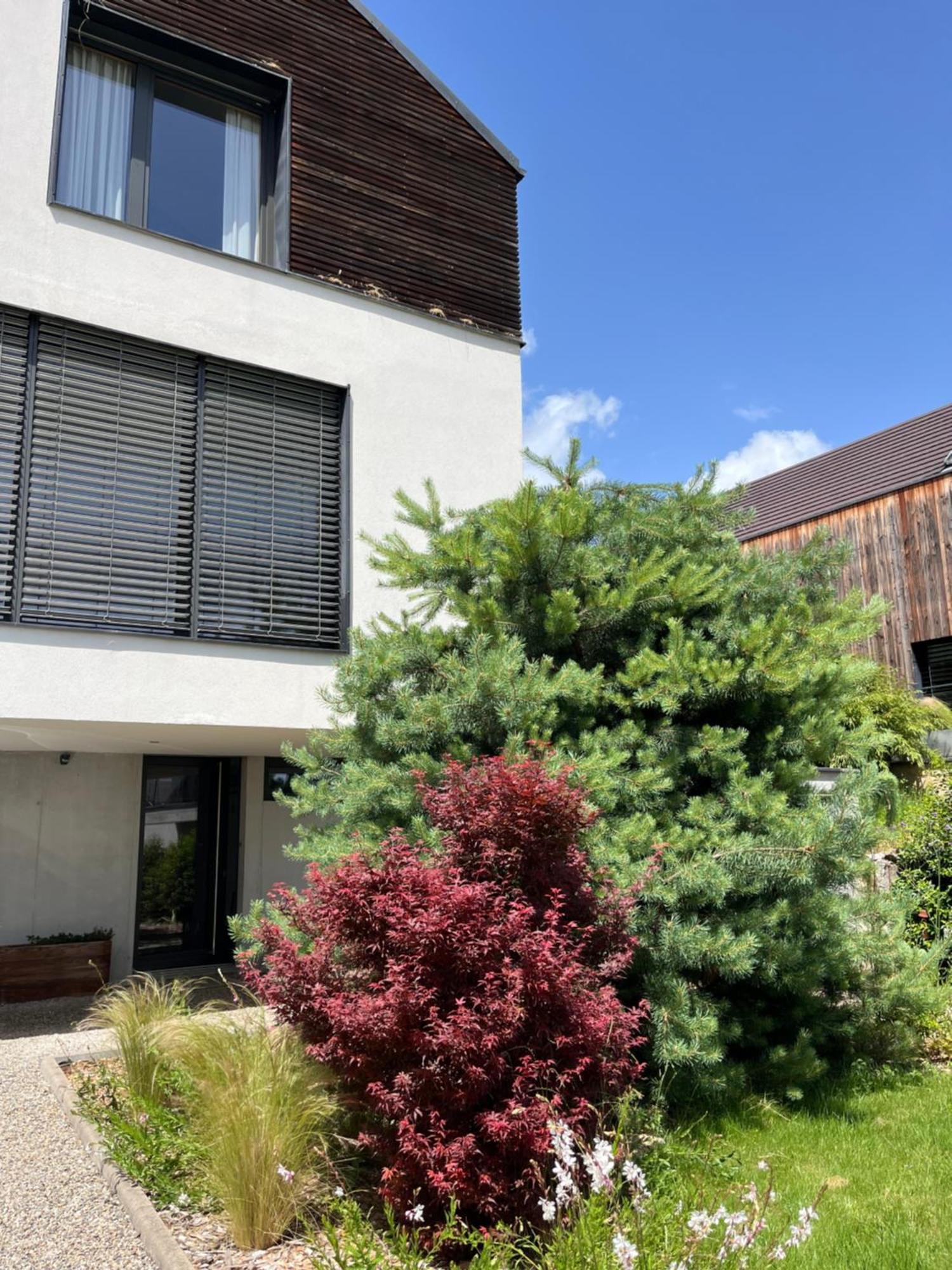 Chambre Double 2 P Luxe Aux Vignes Lovees, Entree Independante Riquewihr Dış mekan fotoğraf